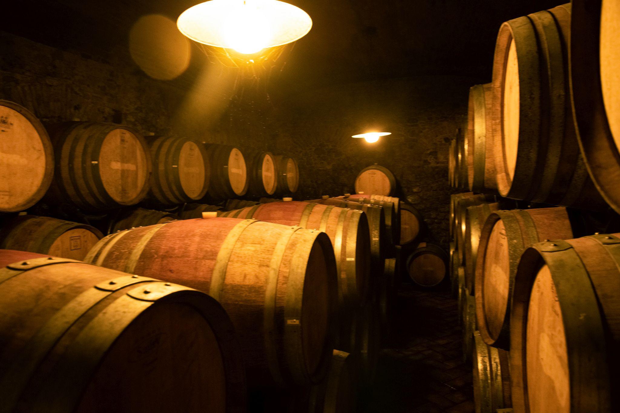 Wine Tours & Tastings in Greve in Chianti - Osteria La Gramola